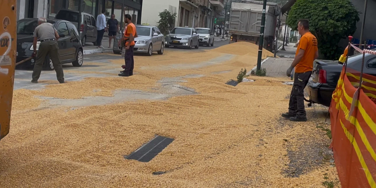 Αμφιλοχία: Καλαμπόκι έπεσε από φορτηγό και κάλυψε τον δρόμο έξω από το Κέντρο Υγείας (Βίντεο)