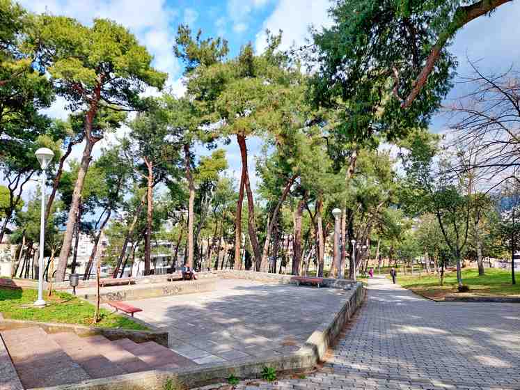 Δήμος Θεσσαλονίκης: Εθελοντικές Δράσεις Καθαρισμού στην Δ’ και στην Ε’ Δημοτική Κοινότητα