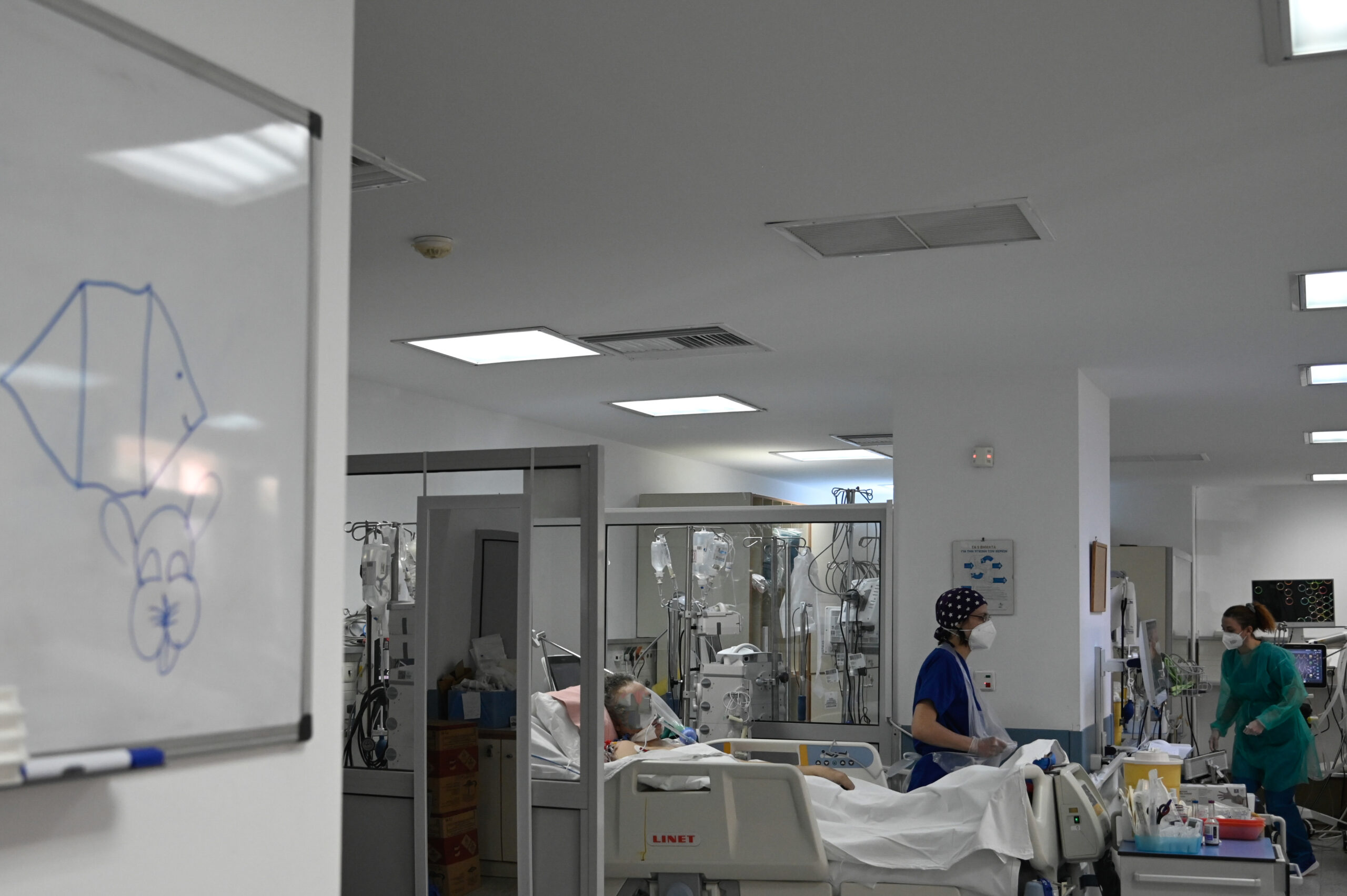 Τραγωδία στο Τζάνειο: Εγκεφαλικά νεκρή η 62χρονη μετά τη λάθος μετάγγιση – Η οικογένειά της δωρίζει τα όργανά της