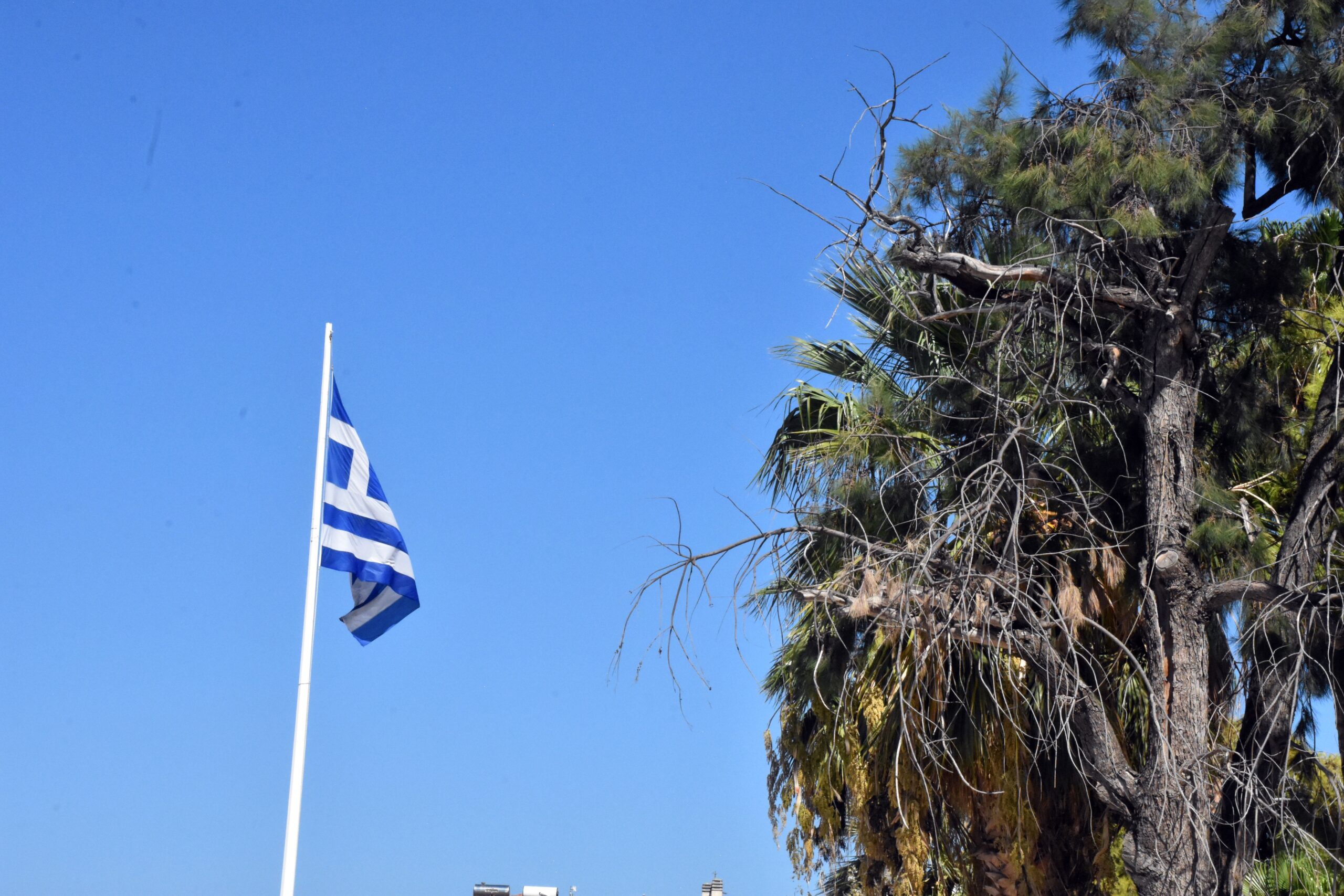 Κομοτηνή: Αλλοδαπός κατέβασε και έκαψε ελληνική σημαία έξω από δημόσιο κτήριο