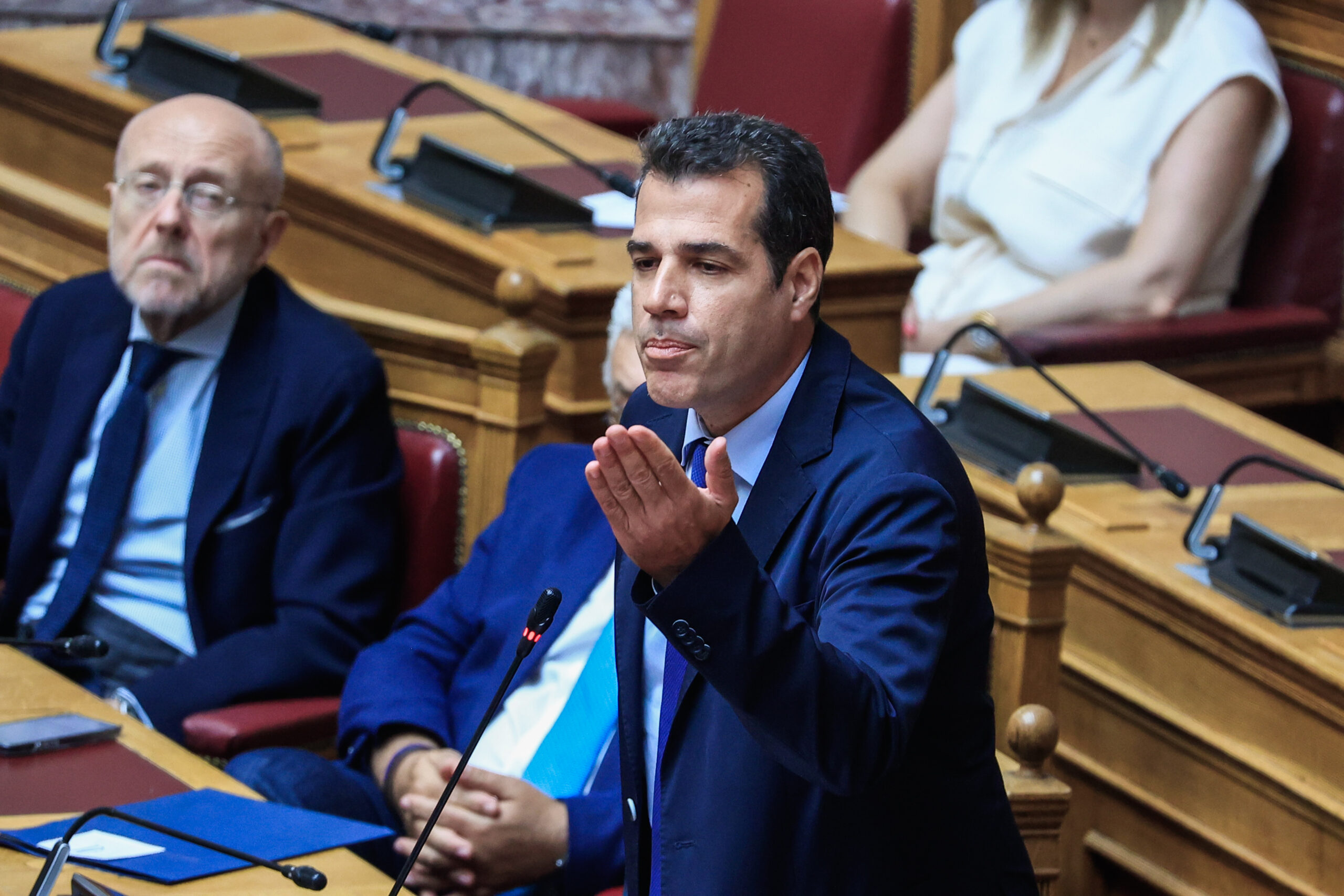 Πλεύρης σε αντιμεταναστευτικό παραλήρημα: «Τέλος το κρέας και το ψάρι – Δεν είμαστε ξενοδοχείο»