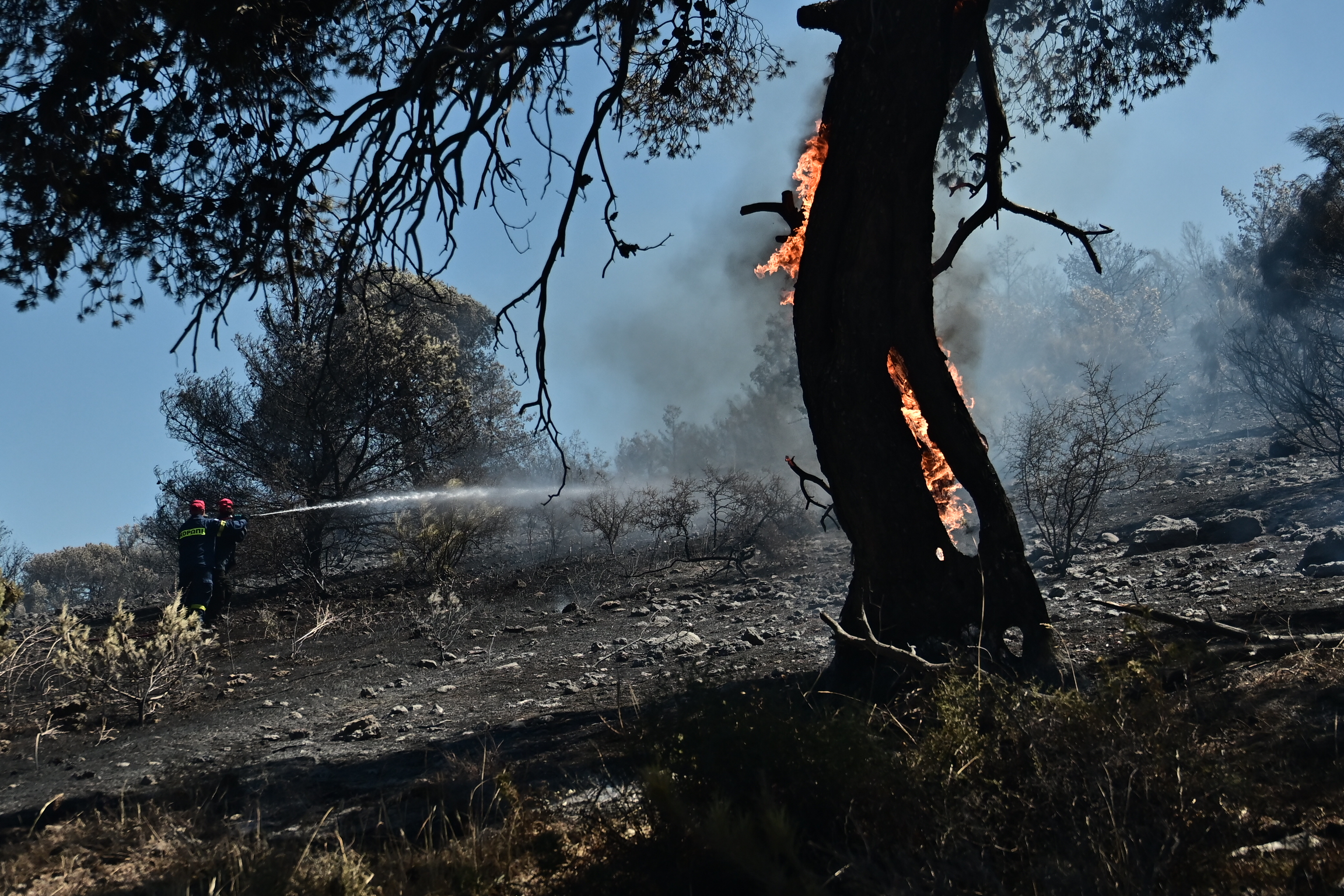 Συναγερμός στο Κορωπί: Εκκενώσεις μέσω 112, οι φλόγες καίνε ανάμεσα σε σπίτια – Από αέρος συνδράμουν 7 ελικόπτερα και 8 αεροσκάφη