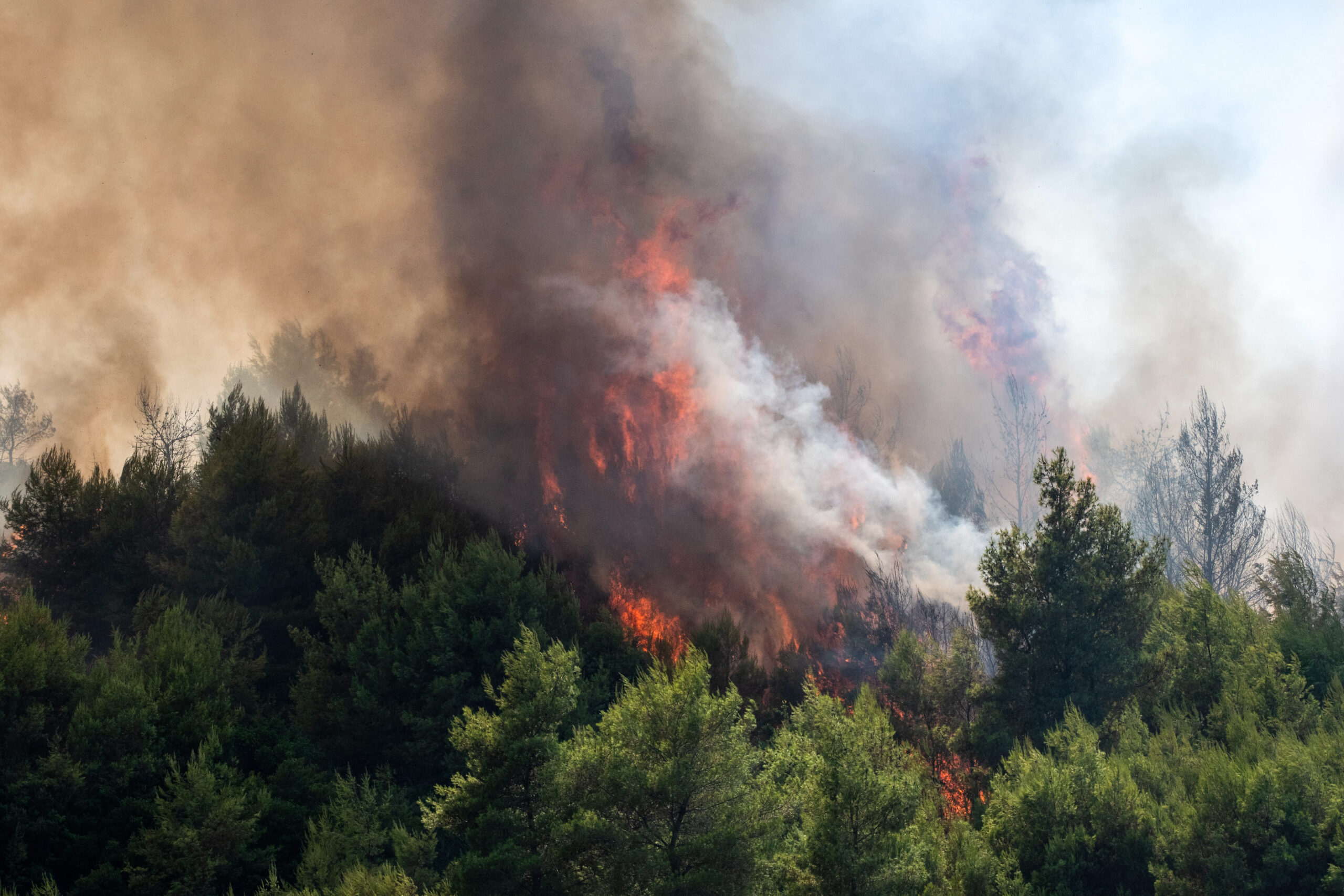 Πύρινος εφιάλτης στο Γεράκι Αμαλιάδας: Ανεξέλεγκτες φλόγες, εναέριες ρίψεις και συνεχής μάχη με τις εστίες