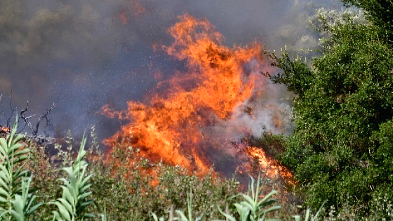Φωτιά στην Αίγιο: Σε πλήρη εξέλιξη σε αγροτοδασική έκταση