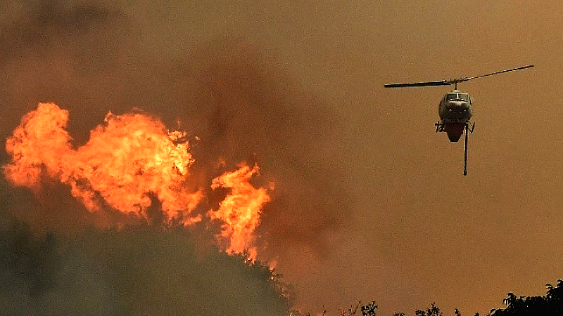 Δραματική κατάσταση από τις ανεξέλεγκτες φωτιές στην Εύβοια – Ανυπολόγιστες ζημιές