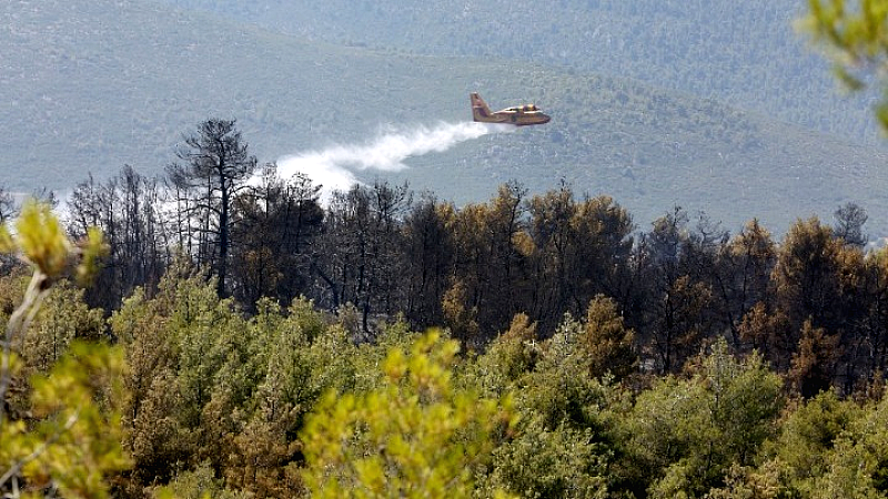 Πυρκαγιά στον Ωρωπό: Χωρίς ενεργό μέτωπο, εστίαση στη διαχείριση καπνού