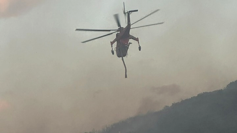 Πυρκαγιά στα Παλιάμπελα Θέρμης χωρίς απειλή για κατοικημένες περιοχές