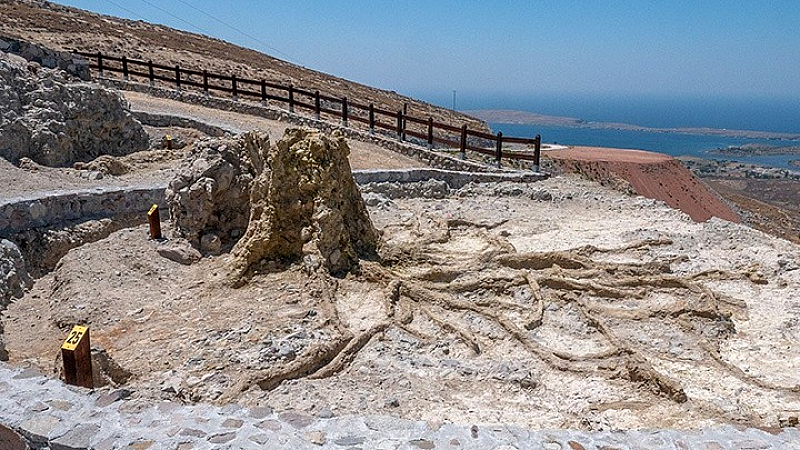 Ανακαλύπτοντας τα απολιθωμένα δάση της Λέσβου μέσα από την επιστήμη