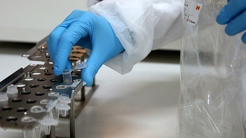Ιταλία: Πέντε θάνατοι από τον ιό του Δυτικού Νείλου φέτος