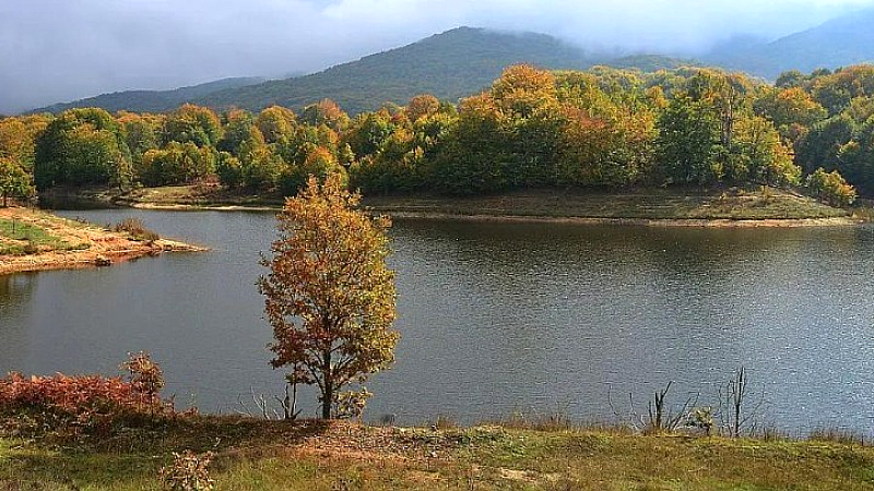 Οι φυσικοί θησαυροί των λιμνών του Δήμου Μετεώρων