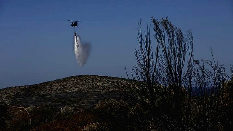 Φωτιά σε αγροτοδασική περιοχή στον Ωρωπό: Εντατική επιχείρηση κατάσβεσης