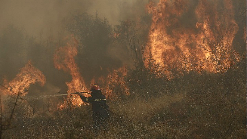 Εκκένωση στη Μεσσηνία λόγω δασικής πυρκαγιάς στην Πολυθέα