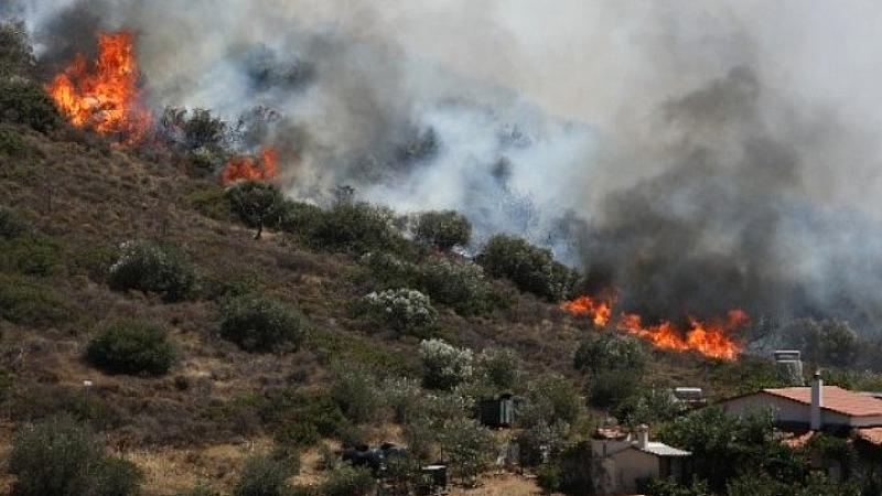 Επιχείρηση κατάσβεσης πυρκαγιάς σε χαμηλή βλάστηση στο Κάτω Σχολάρι