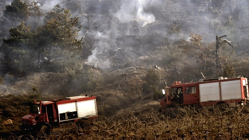 Εξέλιξη της φωτιάς στο Δρέπανο: Συλλήψεις και επιχειρήσεις κατάσβεσης