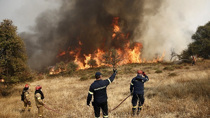 Πυρκαγιά σε εξέλιξη στο Λάχι Λακωνίας – Σημαντική προειδοποίηση για απομάκρυνση κατοίκων