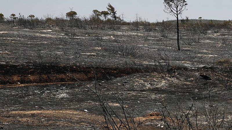 Περισσότερα από 55.000 στρέμματα πλήγηκαν από πυρκαγιές σε Κύθηρα, Εύβοια και Αττική