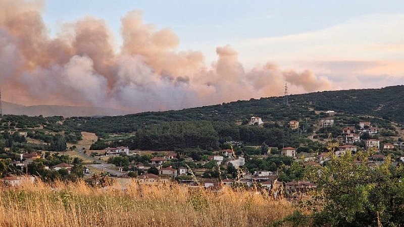 Σύλληψη άνδρα για την πυρκαγιά στο Μεσαίο του Δήμου Ωραιοκάστρου