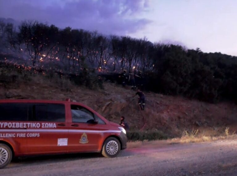 Σε ύφεση η πυρκαγιά σε δασική έκταση στο Ωραιόκαστρο