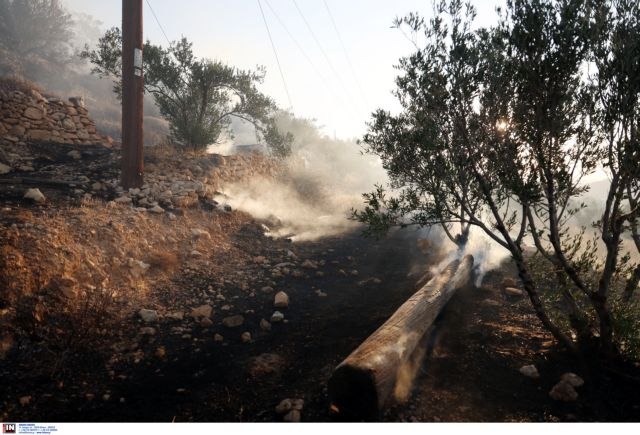 Στήριξη στους κατοίκους της Ιεράπετρας από τον Δήμο Ηρακλείου