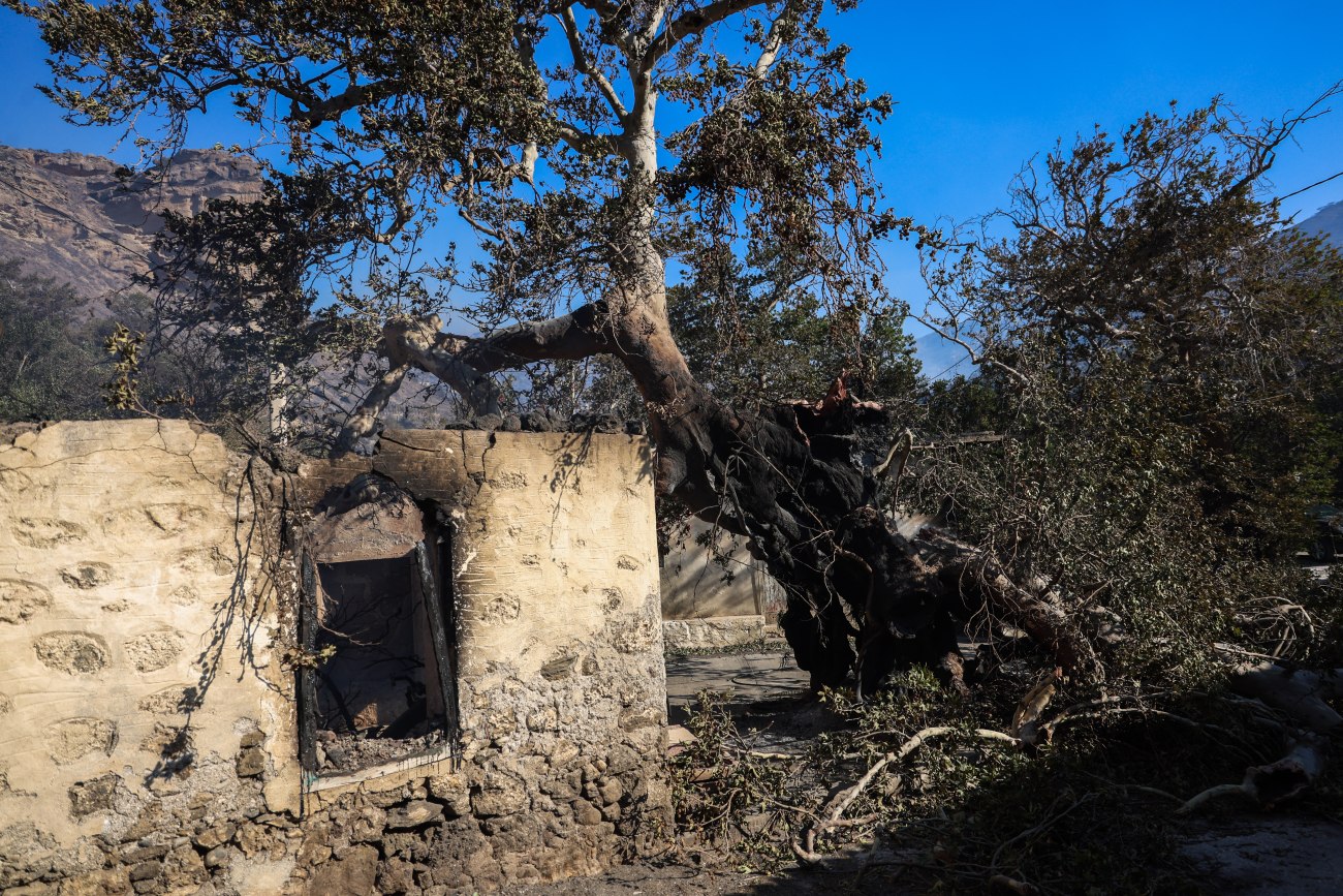 Ιεράπετρα: Καταστροφική φωτιά σε χιλιάδες στρέμματα, μάχη με αναζωπυρώσεις
