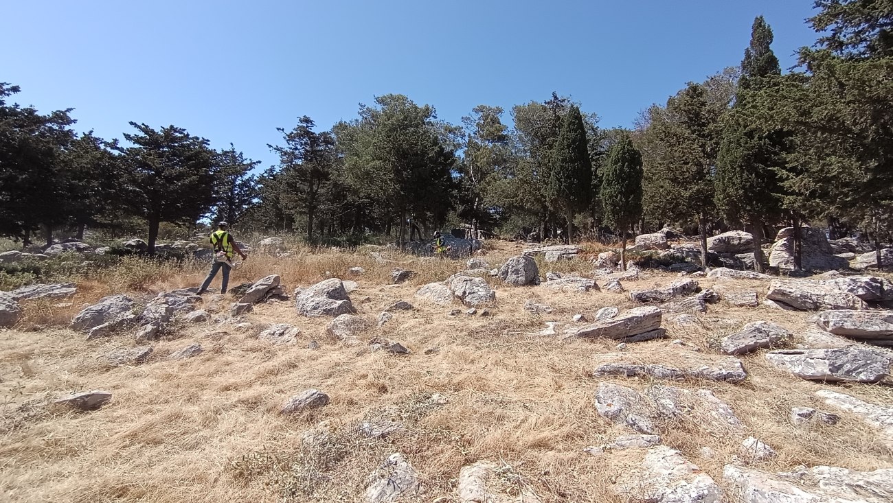 Νέες αντιπυρικές ζώνες για την προστασία στην Κρήτη