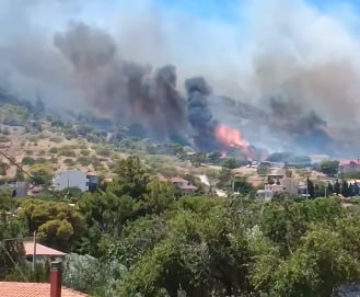 Κορωπί: Συναγερμός λόγω φωτιάς κοντά σε κατοικίες – Απομάκρυνση κατοίκων από δύο οικισμούς