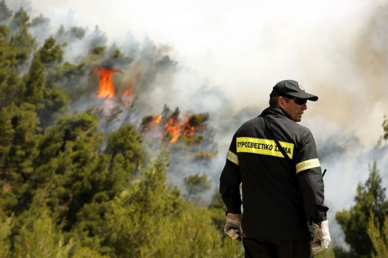 Πυρκαγιά σε δασική περιοχή στο Νεοχώρι Μεσσηνίας