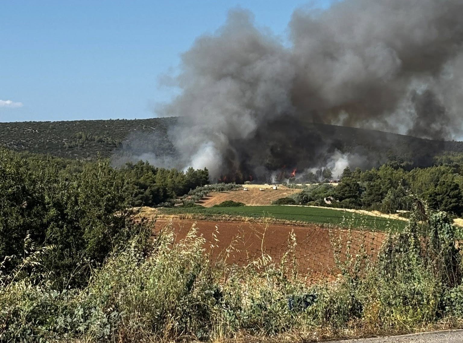 Φωτιά στο Ασπροχώρι Ωροπού: Συναγερμός στην Πυροσβεστική
