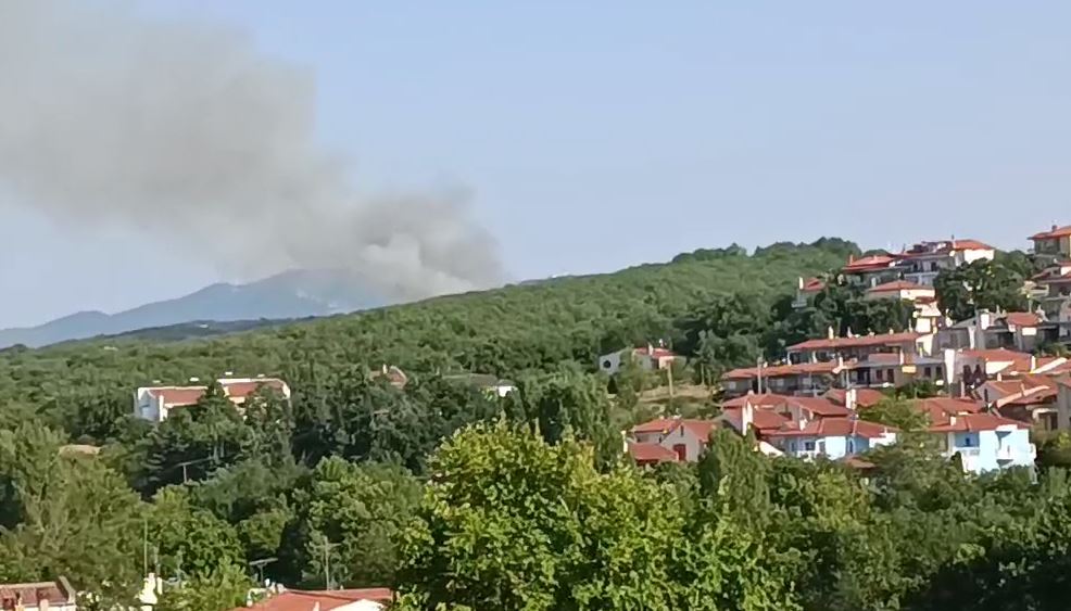Θεσσαλονίκη: Φωτιά στο δάσος του Φιλύρου – Μεγάλη κινητοποίηση της Πυροσβεστικής