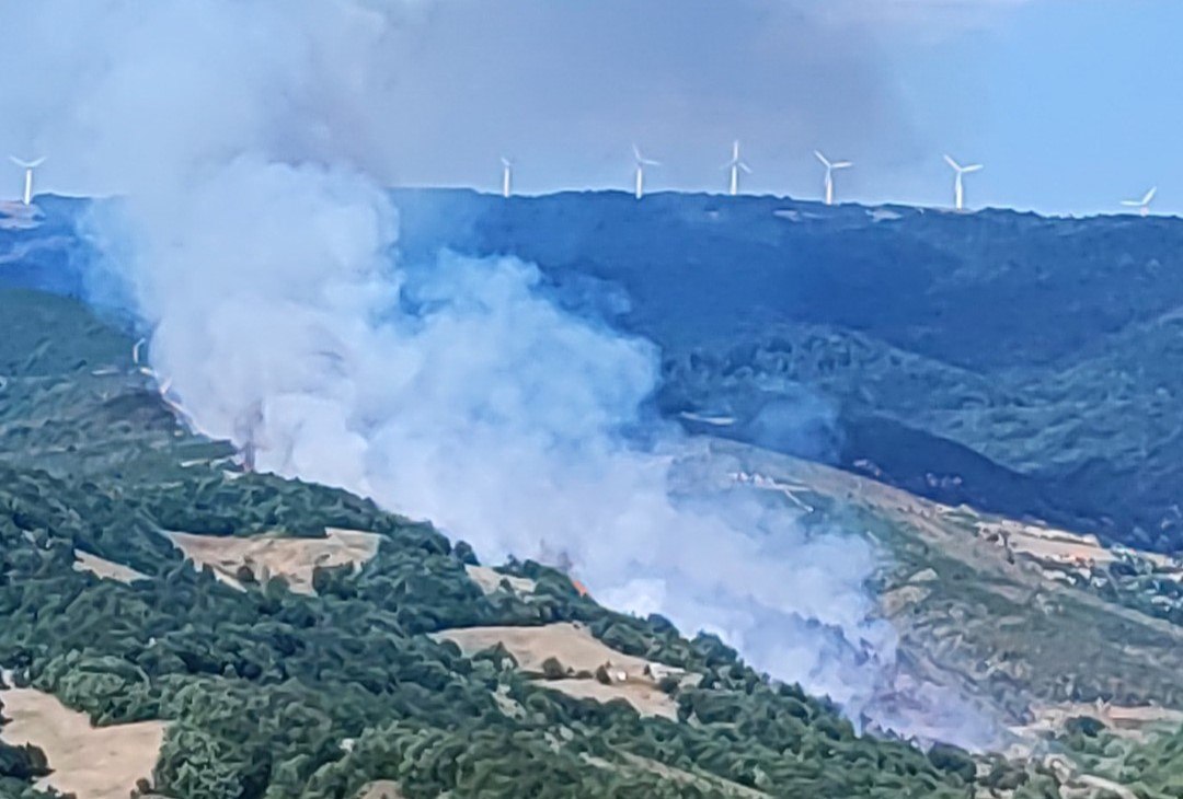 Πυρκαγιά σε δασική περιοχή της Χλόης Ροδόπης – Σήμανε συναγερμός μέσω 112