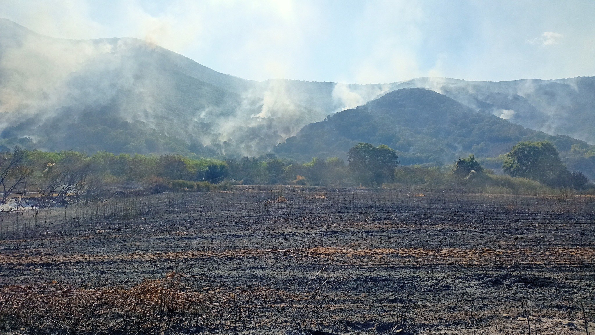 Φωτιά στη Φλώρινα: Σε ύφεση με ενισχυμένες πυροσβεστικές δυνάμεις