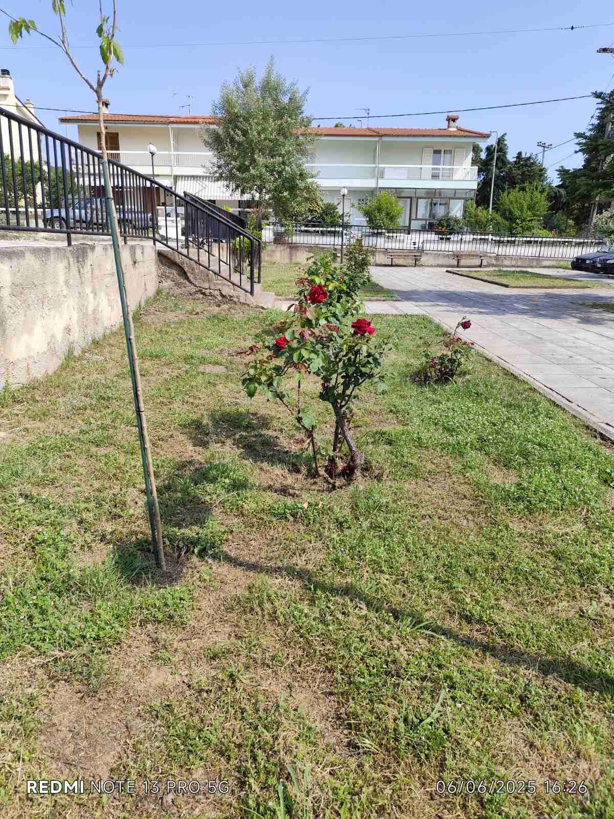 Τιμήθηκαν οι εθελοντές μικροί κηπουροί του Δήμου Πολυγύρου
