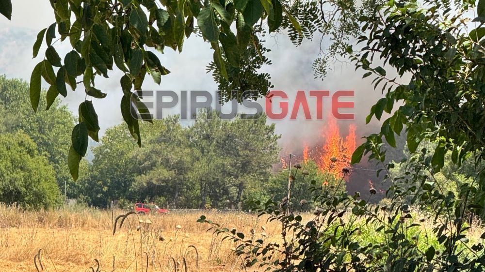 Φωτιά στην περιοχή Πεδινή Ιωαννίνων: Σημαντική κινητοποίηση πυροσβεστικών δυνάμεων