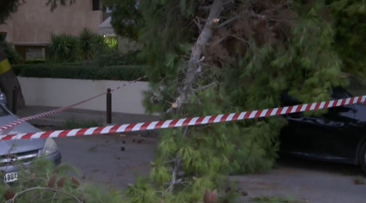 Πτώση δέντρου στο Παλαιό Φάληρο: Κλειστό τμήμα της οδού Δημοκρατίας