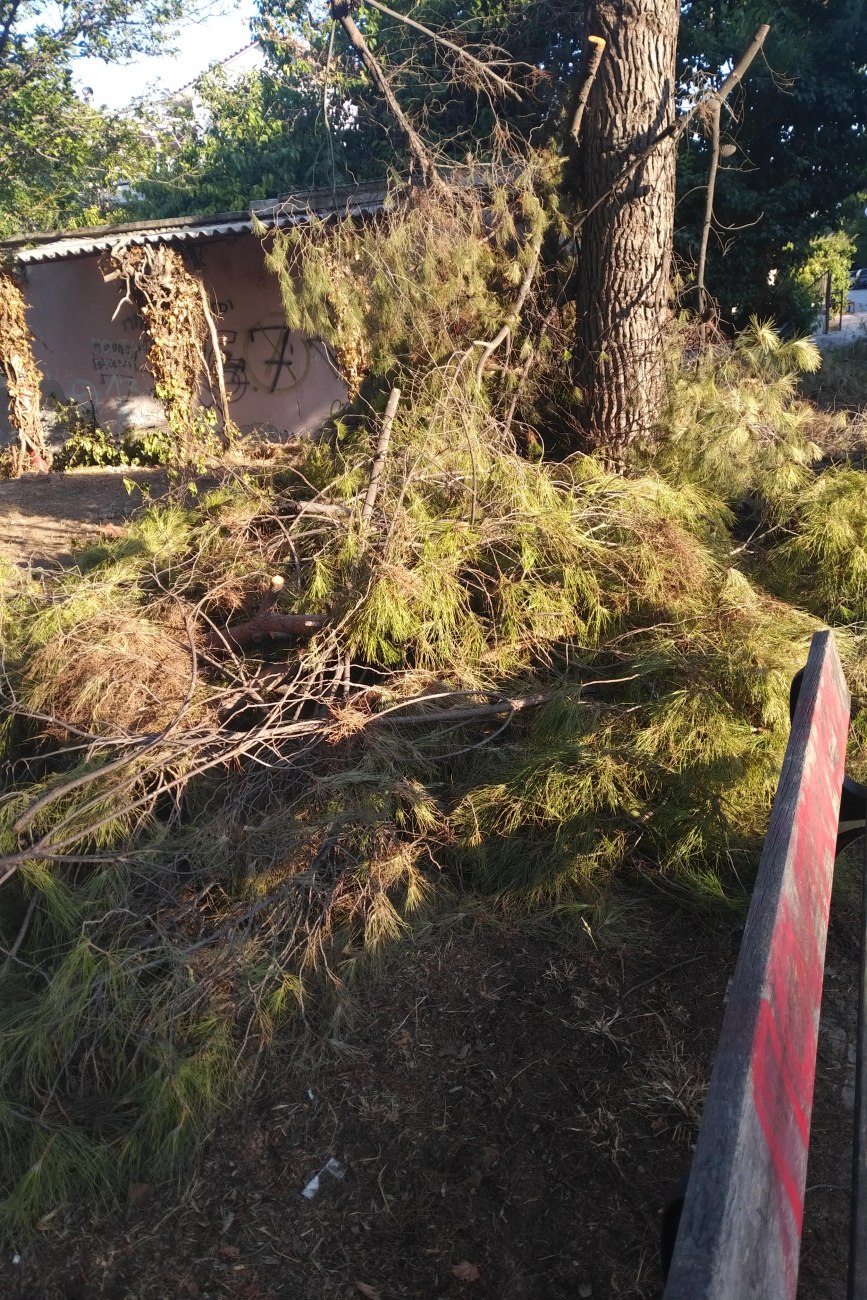 Σοβαρές εικόνες αμέλειας και κινδύνου το καλοκαίρι