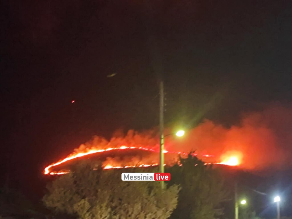 Φωτιά στη Μεσσηνία: Κινδυνεύει αγροτοδασική περιοχή στη Μεταμόρφωση