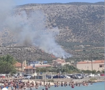 Φωτιά στην Πλύτρα Λακωνίας: Στην πρώτη γραμμή 7 εναέρια μέσα