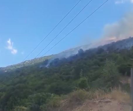 Πυρκαγιά στη Σκάλα Δεσκάτης Γρεβενών