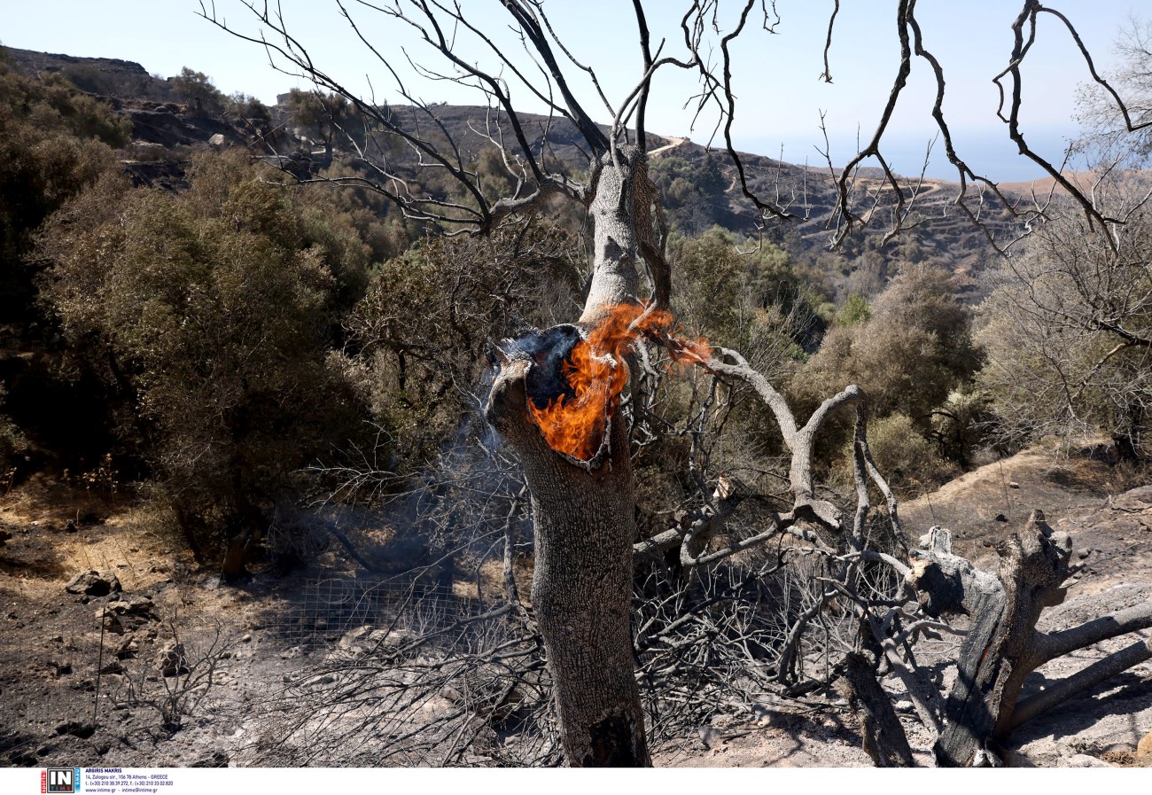 Βελτιωμένη εικόνα από τη φωτιά στην Άσσηρο Θεσσαλονίκης, μικρές εστίες παραμένουν στα Γρεβενά