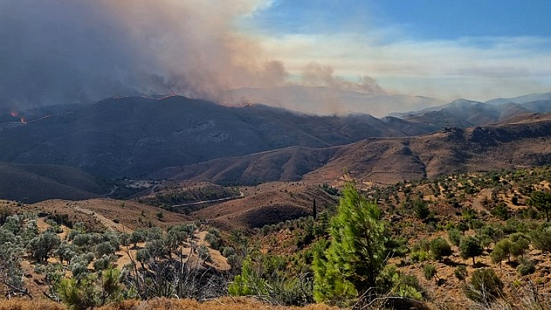 Βελτιώνεται η κατάσταση της πυρκαγιάς στη Χίο – Πάνω από 150 καμένοι στύλοι ηλεκτροδότησης