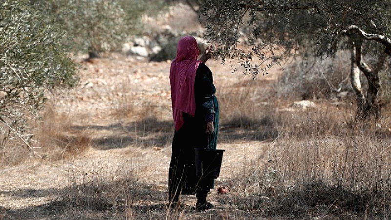 Μόνο το 1,5% της γεωργικής γης στη Γάζα είναι καλλιεργήσιμο, κίνδυνος λιμού