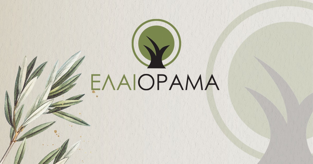 Νέο πρωτόκολλο για Αγουρέλαιο υψηλής ποιότητας στη Χαλκιδική: Συνδυάζοντας παράδοση και καινοτομία στην ελαιοκαλλιέργεια