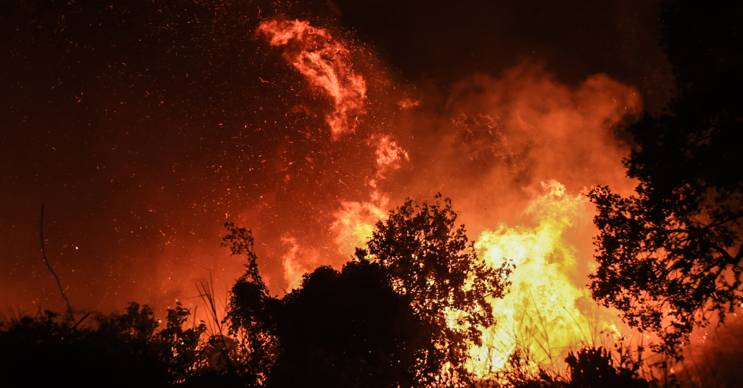 Πύρινος εφιάλτης σε Αχαΐα, Ζάκυνθο, Χίο, Βόνιτσα και Πρέβεζα – Ολονύχτιες μάχες, εκκενώσεις και επιχειρήσεις απεγκλωβισμού