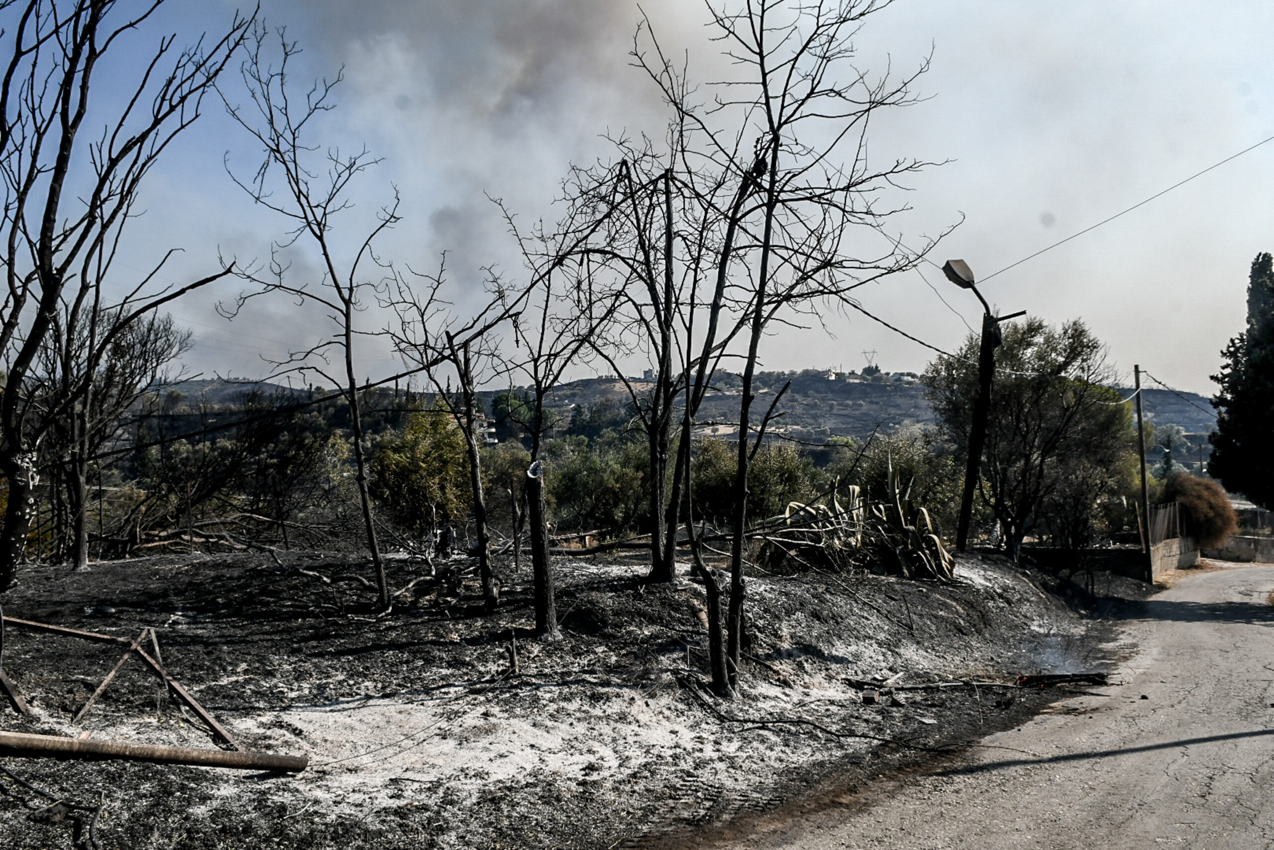 Πάτρα: Δυο νέες συλλήψεις και μία προσαγωγή για εμπρησμό στην Συχαινά