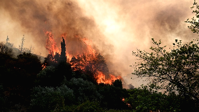 ΕΕ: Ρεκόρ καμένων εκτάσεων από πυρκαγιές με πάνω από 10 εκατ. στρέμματα το 2025