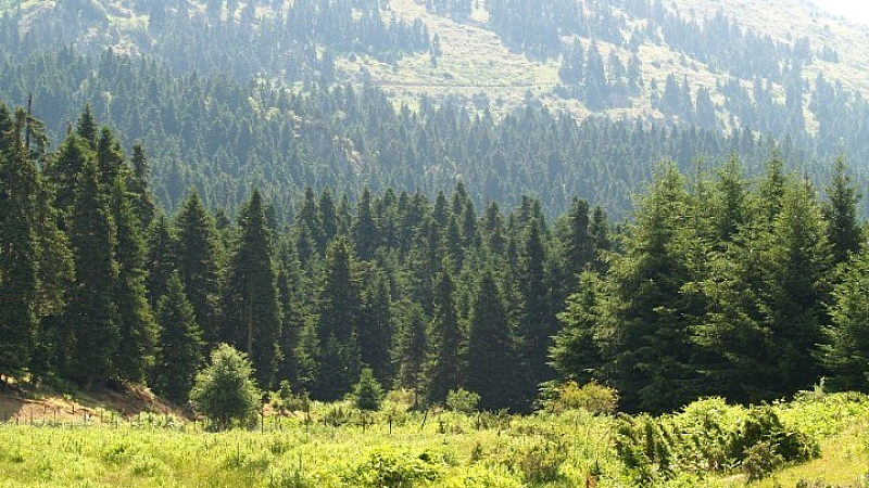 Πολύ υψηλός κίνδυνος πυρκαγιάς και αύριο σε πολλές περιοχές της χώρας