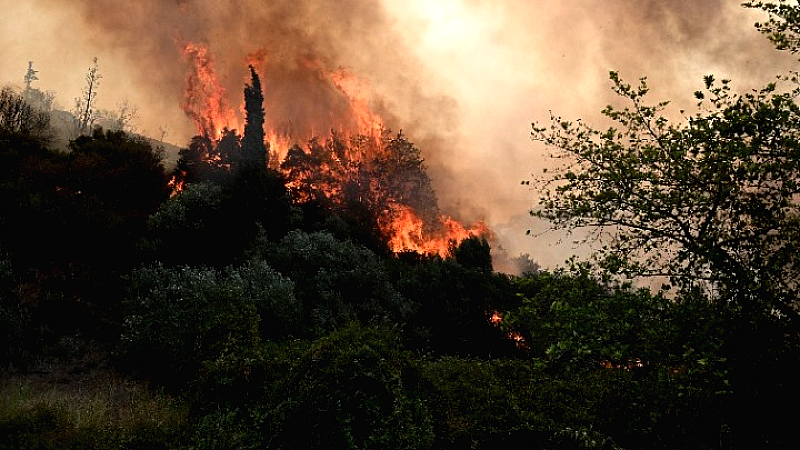 Ταχύτατη καταγραφή ζημιών στις πυρκαγιές της Αχαΐας, Πρέβεζας, Χίου και Ζακύνθου με ψηφιακά εργαλεία