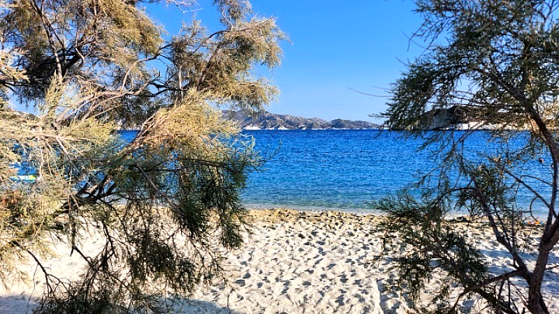 Τραυματισμός 9χρονου σε θαλάσσιο πάρκο στην Καβάλα