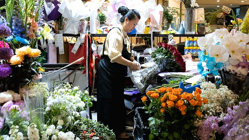 Η Νινγκσιά: Πρωτεύουσα των λουλουδιών στην Κίνα