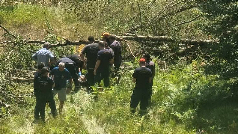 Σοβαρός τραυματισμός ξυλοκόπου από κορμό οξιάς στην Χρυσοβίτσα Ιωαννίνων
